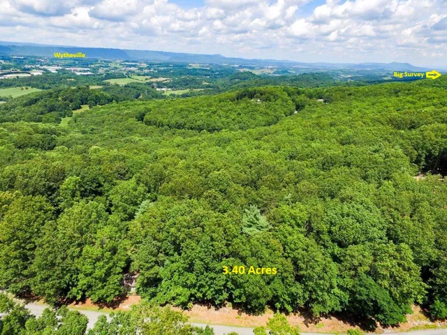 Lookout Dr, Wytheville, VA 24382
