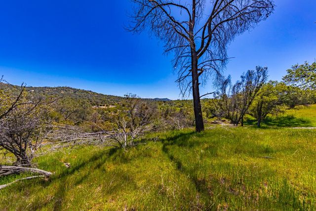 1 Jim Bowie Ct, Coarsegold, CA 93614