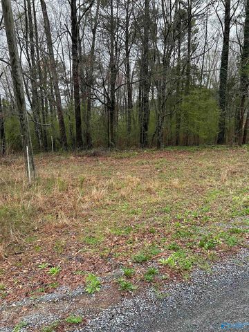 11 Dry Creek Rd, Cleveland, AL 35049