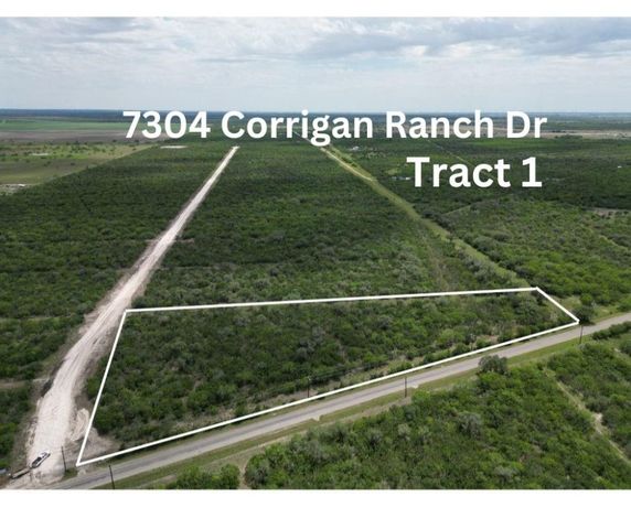 7304 Corrigan Ranch Dr   #1, Skidmore, TX 78389