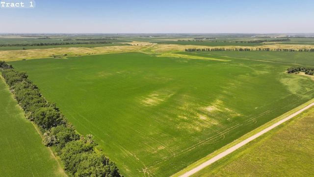 Land Auction Section 4 133 #61, Lamoure, ND 58458