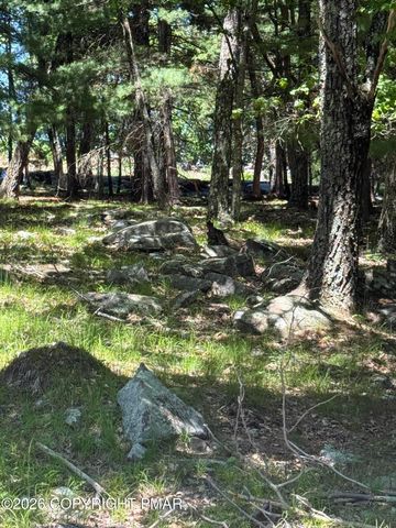 Song Mountain Dr, Tafton, PA 18464