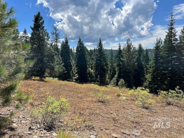 Lot 4 Whitefield Ln, McCall, ID 83638