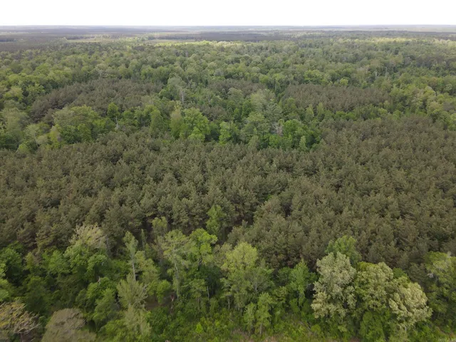 Address Not Disclosed, Hamburg, AR 71646