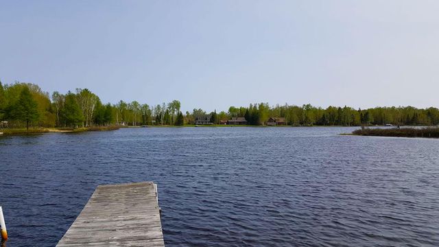 W  Birch Shores Dr, Trout Lake, MI 49793