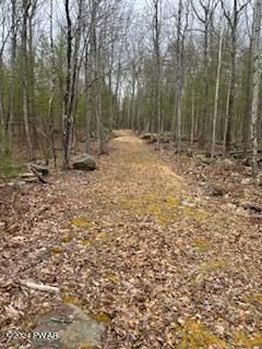 Lot 15 State Route 97, Narrowsburg, NY 12764