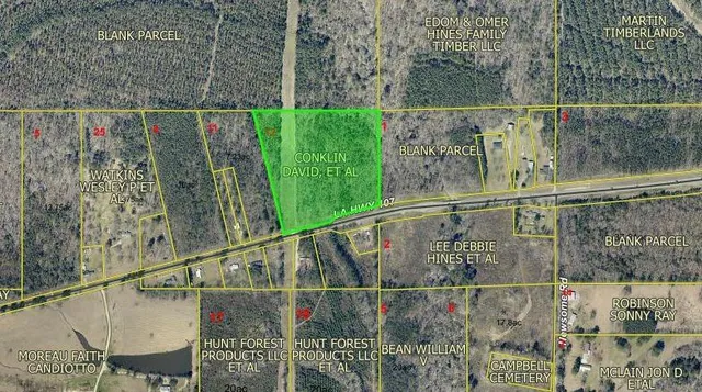 15.4 Acres Highway Hwy #107, Pineville, LA 71360