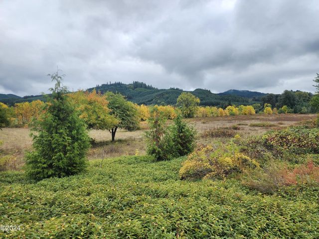 19326 Alsea Hwy, Alsea, OR 97324