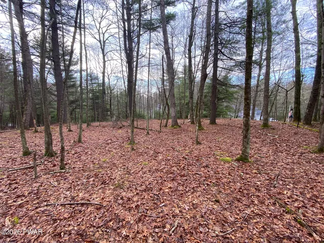 54 Laverne Dr, Dingmans Ferry, PA 18328