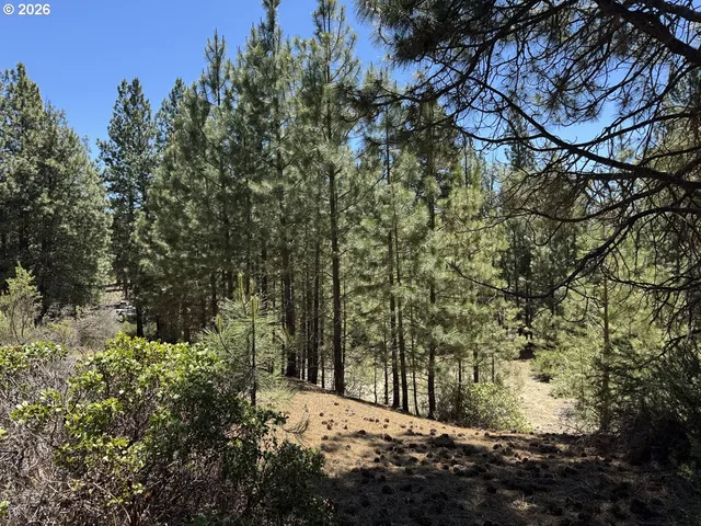 Friendship Dr #12, Chiloquin, OR 97624