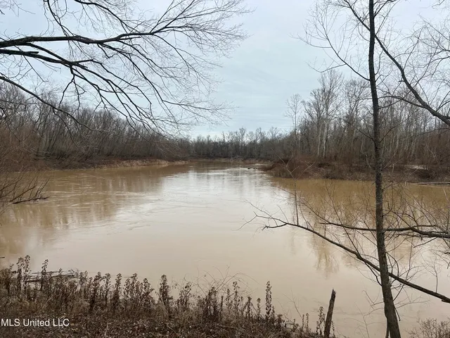 Campbell Swamp Rd, Vicksburg, MS 39180