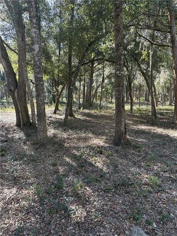 186 Fancy Bluff Cir, Brunswick, GA 31523