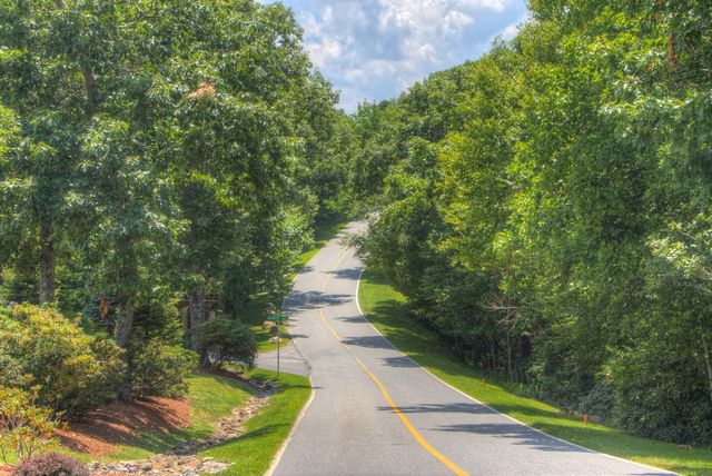 Model A481 Plan in Maple View, Boone, NC 28607