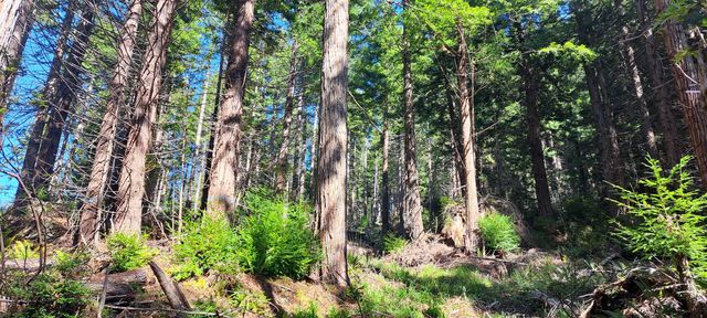 403.131042 Redmond Rd, Eureka, CA 95503