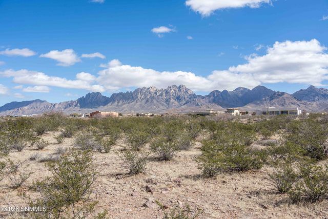 7901 Dripping Springs Rd, Las Cruces, NM 88011