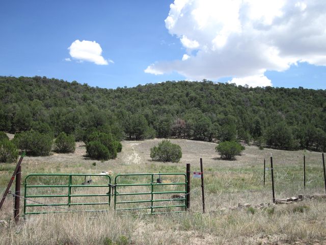 40 Pleasant Valley Dr, Edgewood, NM 87015