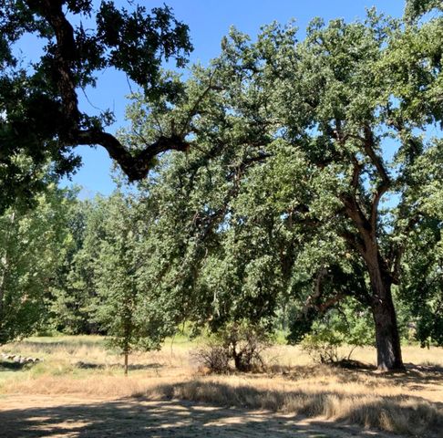 Giant Oak Rd, Oakhurst, CA 93644