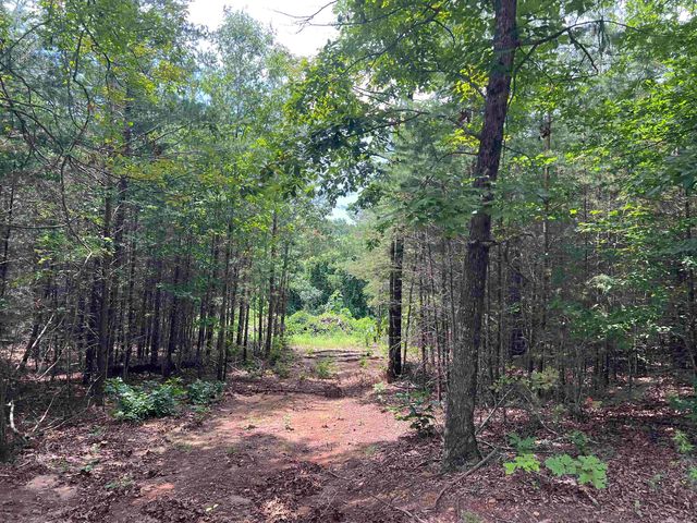 500 Goforth Rd, Landrum, SC 29356