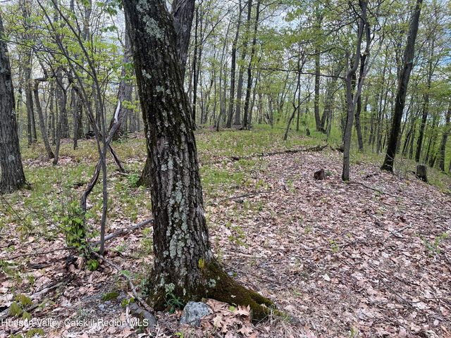 Tbd Cold Spring Road, Clinton Corners, NY 12514