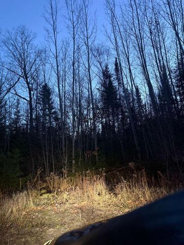 Lot 3 Ariel Street, Lincoln, ME 04457