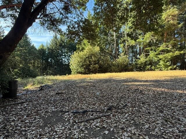 4149 Wilder Ridge Rd, Garberville, CA 95542