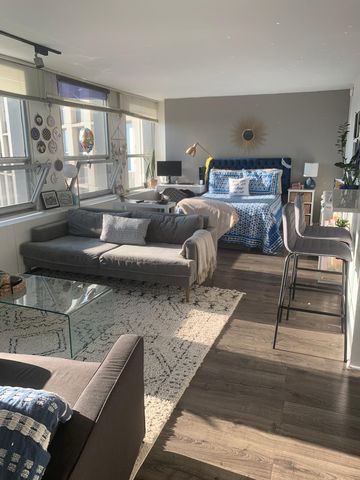 2626 N  Lakeview Ave #3406, Chicago, IL 60614