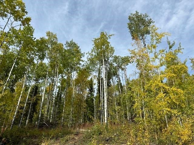 Nhn Haman St, Fairbanks, AK 99709