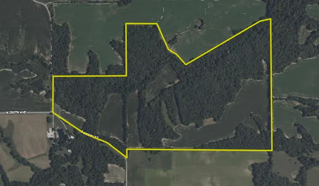 E  2975th St, Baylis, IL 62314