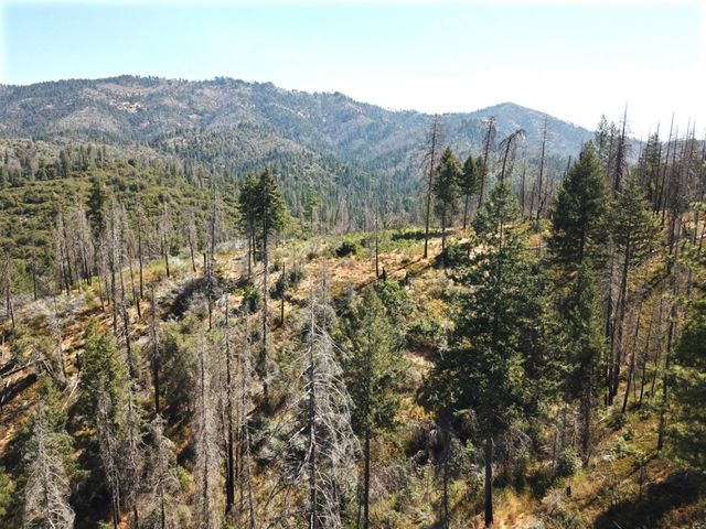 Old Yosemite Rd, Coulterville, CA 95311