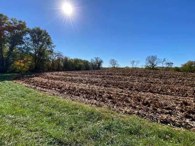 1862 Hallie Ln, Granville, OH 43023