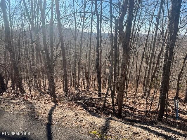 207 Laurel Mountain Rd, Madisonville, TN 37354