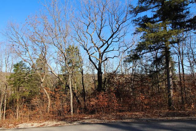 Lot 2 Silvercliff Way, Reeds Spring, MO 65737