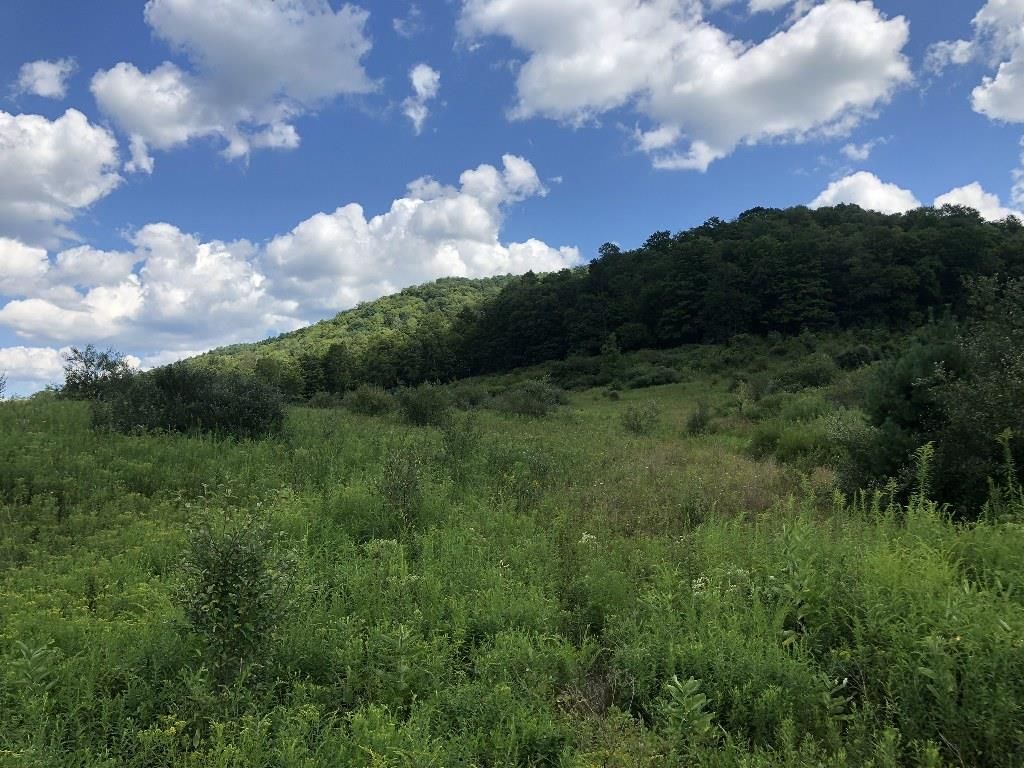 Clear Creek Rd, Emporium, PA 15834 Trulia