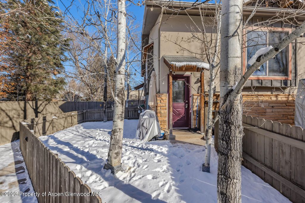 403 S  2nd St, Carbondale, CO 81623