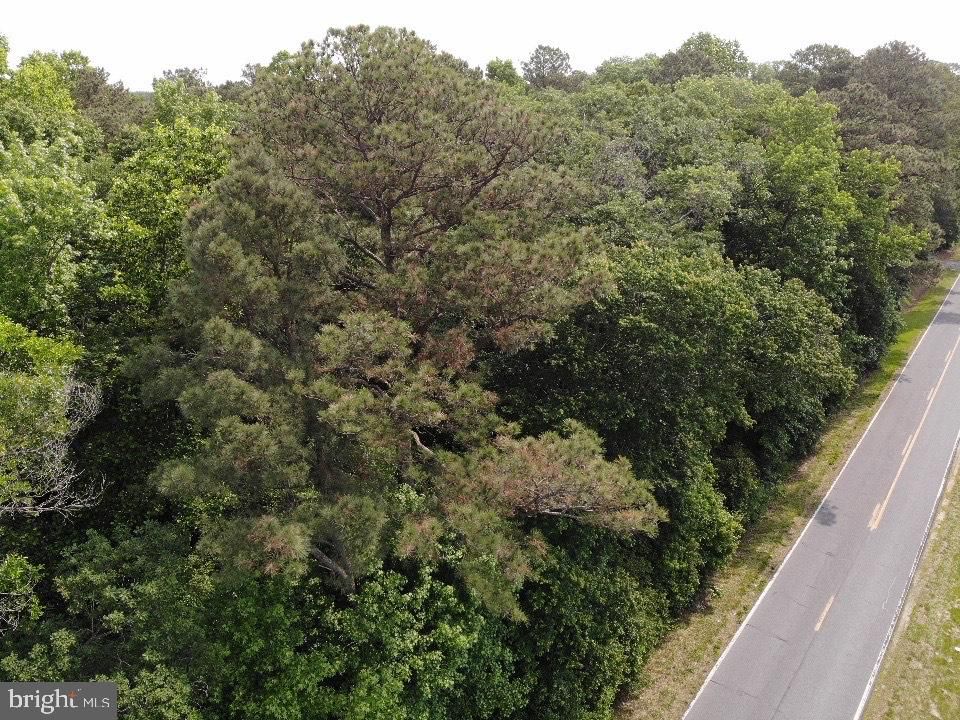 Whitesville Rd, Laurel, DE 19956 Trulia