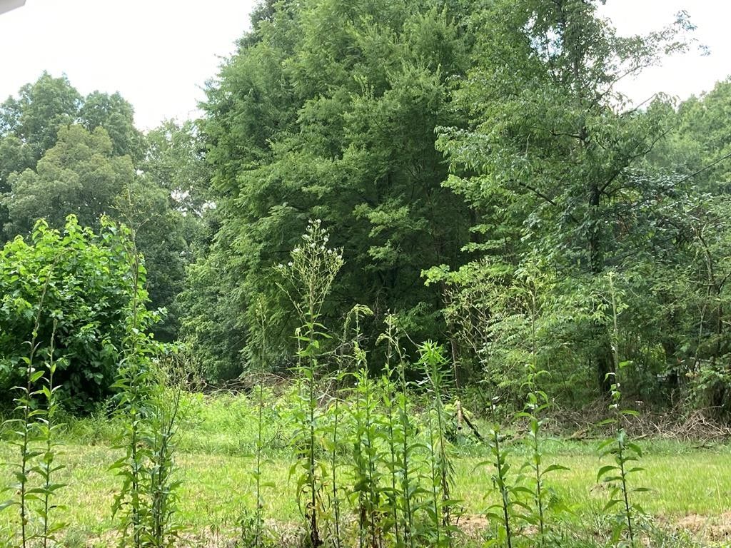 1 Stevenson Dr, Dalton, GA 30721 Trulia