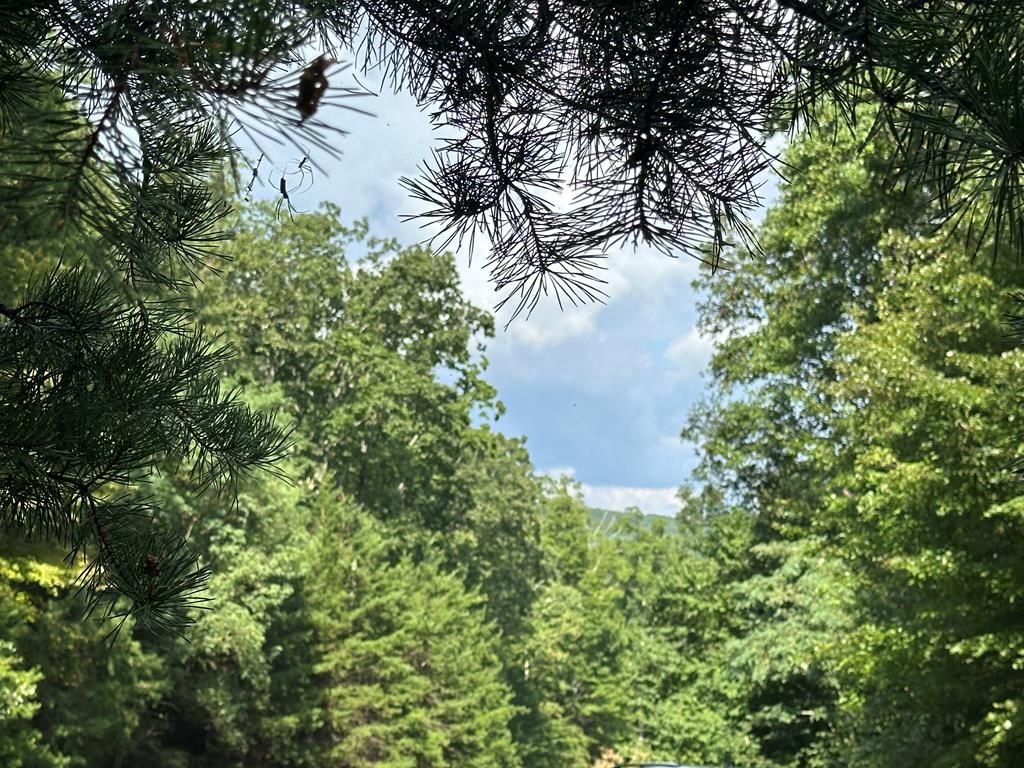 257 Andes Rdg, Ellijay, GA 30536