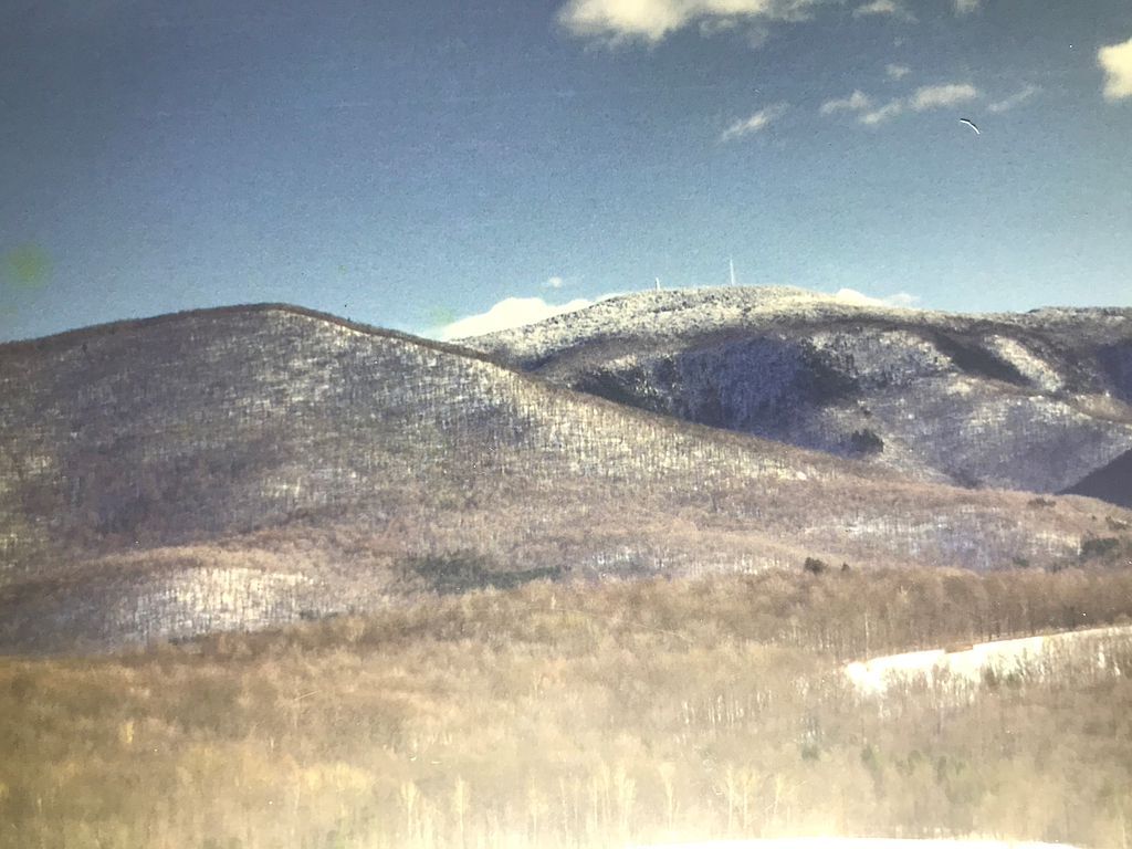 Potter Rd, Williamstown, MA 01267 Trulia