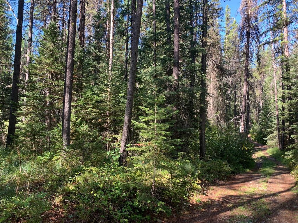 14660 Highway 2 E, Essex, MT 59916 Trulia