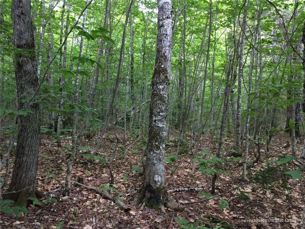 Lot 5 Hilltop Drive Lot 255, Greenville, ME 04441 Trulia