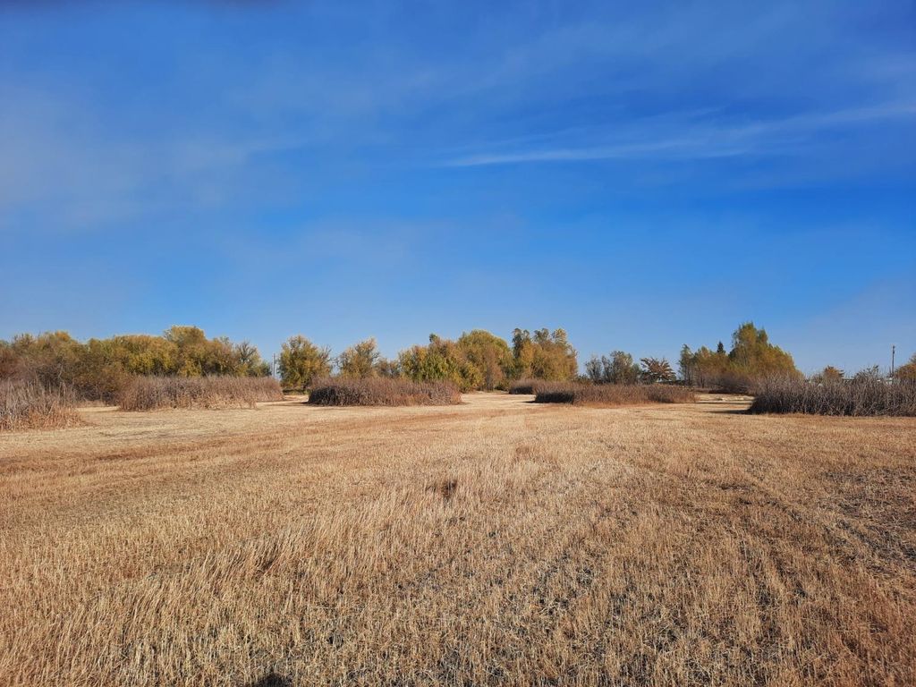 Pennington Rd, Gridley, CA 95948