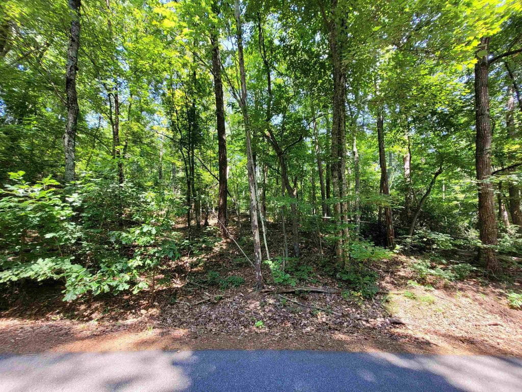 W Lakeshore Dr, Landrum, SC 29356 MLS 303305 Trulia