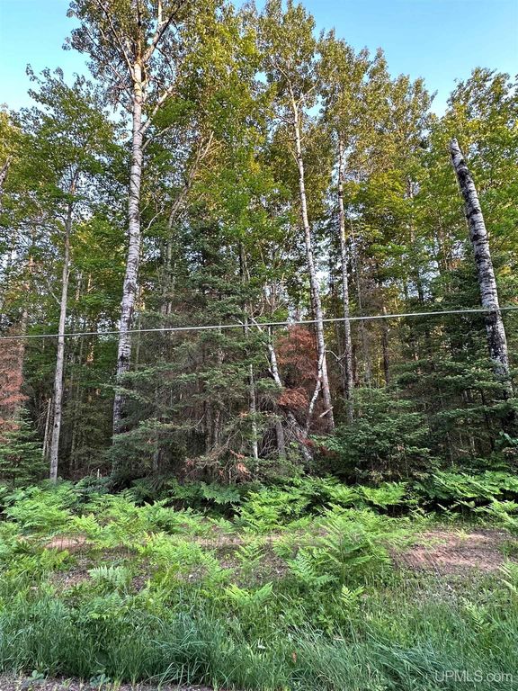 S Shag Lake Dr, Gwinn, MI 49841 MLS 50113605 Trulia