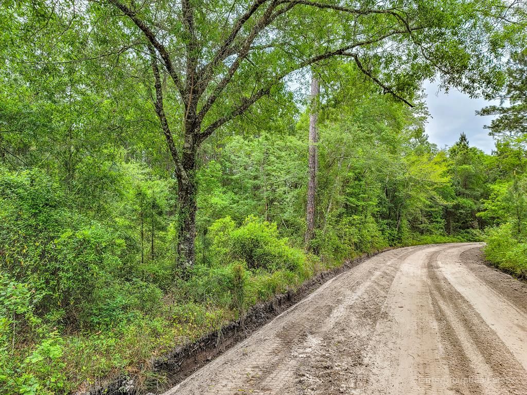 Hoke Cir, Nahunta, GA 31553 Trulia