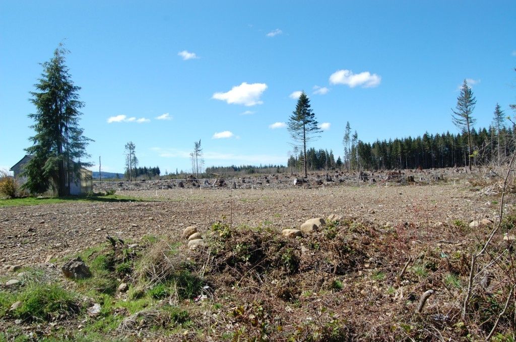 9999 King Richards Way, Forks, WA 98331 Trulia