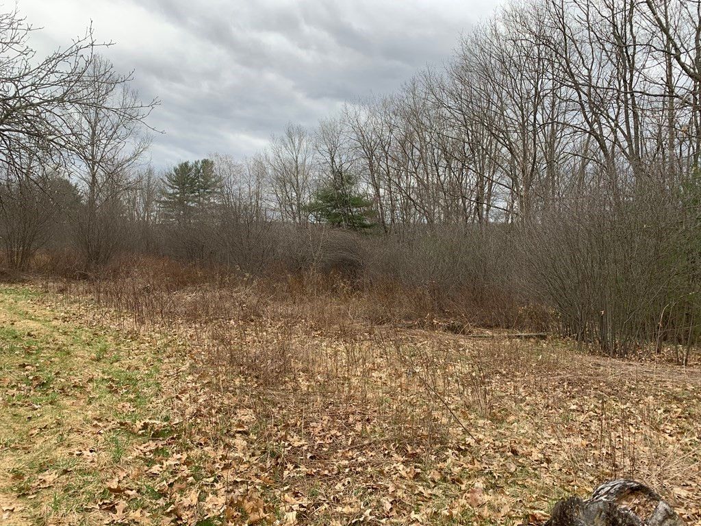 Lake Ave, Orange, MA 01364 MLS 72978704 Trulia