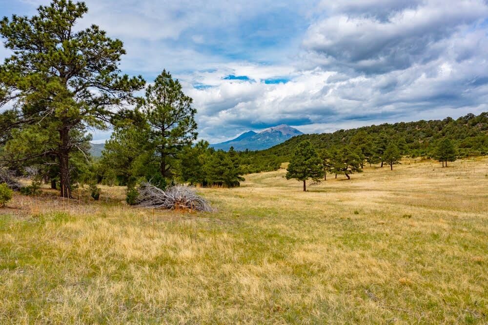 County Road 54.2, Aguilar, CO 81020 Trulia