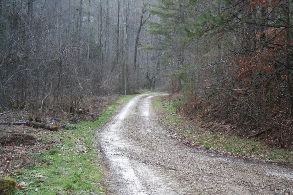 Critter Springs Way, Cosby, TN 37722 Trulia