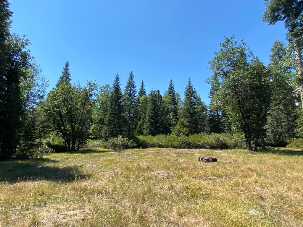 1C25 Mount Shasta Dr, McCloud, CA 96057 MLS 20221069 Trulia