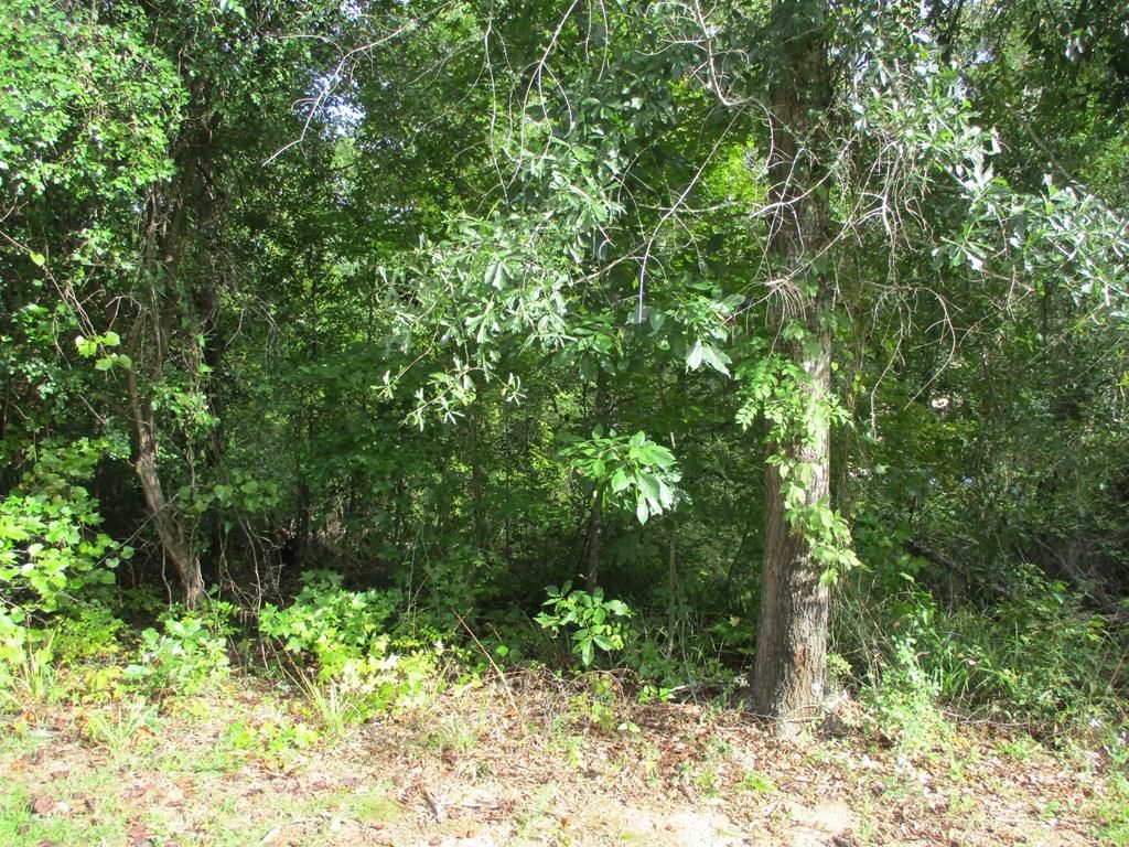 Lakeshore Dr, Abbeville, AL 36310 Trulia